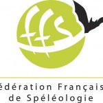 logo ffs